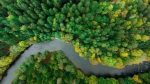 La taxonomie verte, de l’obligation à l’opportunité d’un impact plus fort des entreprises