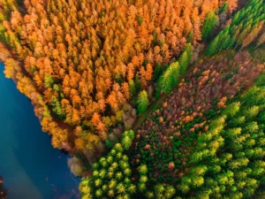 Transition climatique : l’entreprise en actions