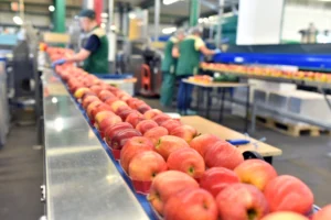 Une triple équation pour le secteur agro-alimentaire