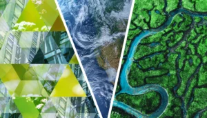 La COP27 en actions concrètes pour l’entreprise