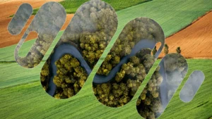 La taxonomie verte, de l’obligation à l’opportunité d’un impact plus fort des entreprises