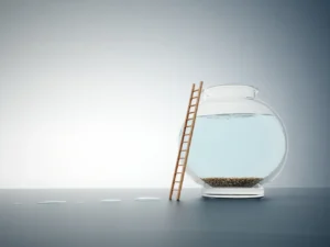 L’autonomie et la confiance, leviers de performance de l’entreprise