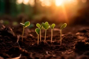 Responsabilité de l’entreprise : fédérer les collaborateurs par la formation pour passer à l’action