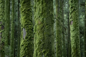 4 leviers pour conjuguer soutenabilité, résilience et performance
